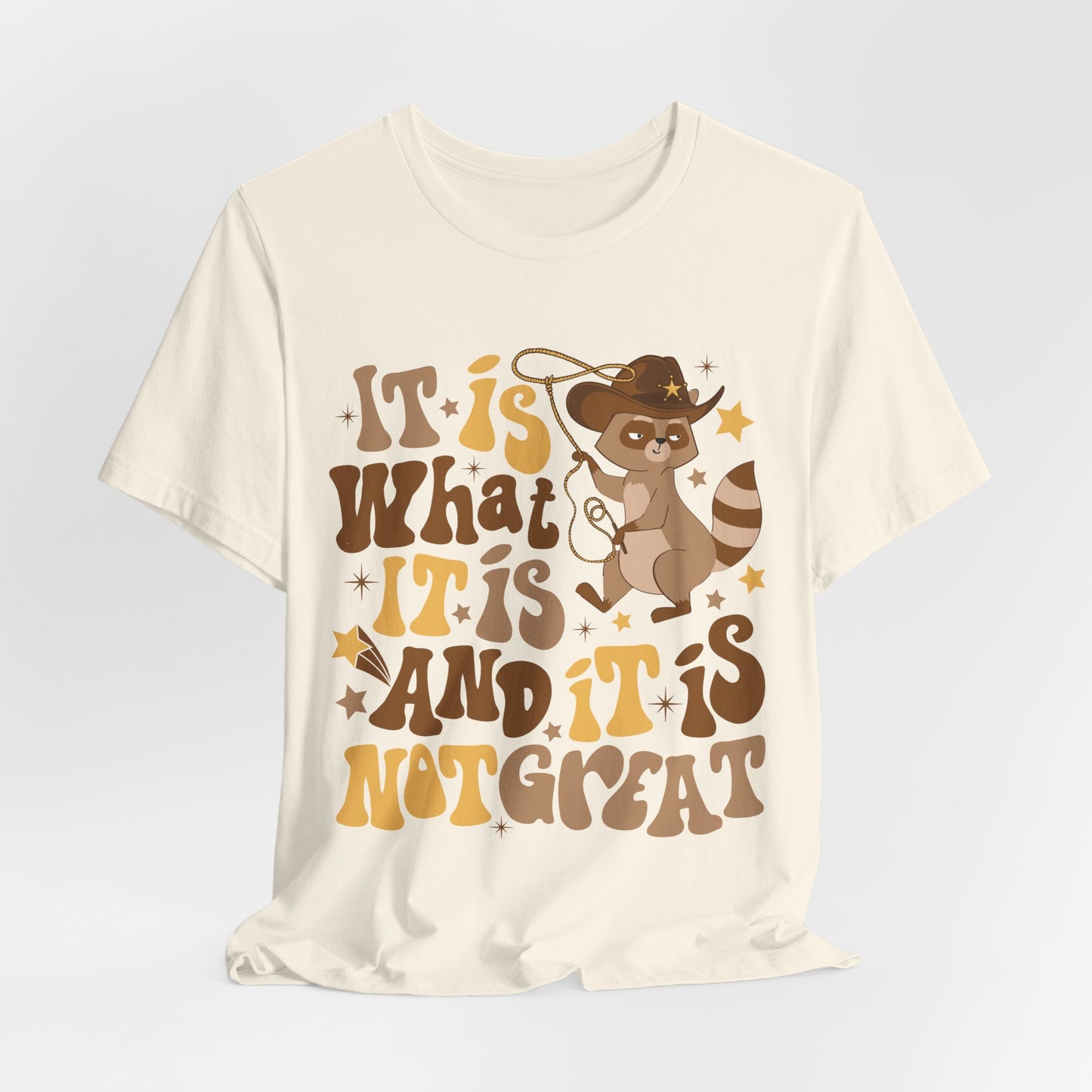 Funny Raccoon Tee — "It Is What It Is And It Is Not Great" Graphic T‑Shirt