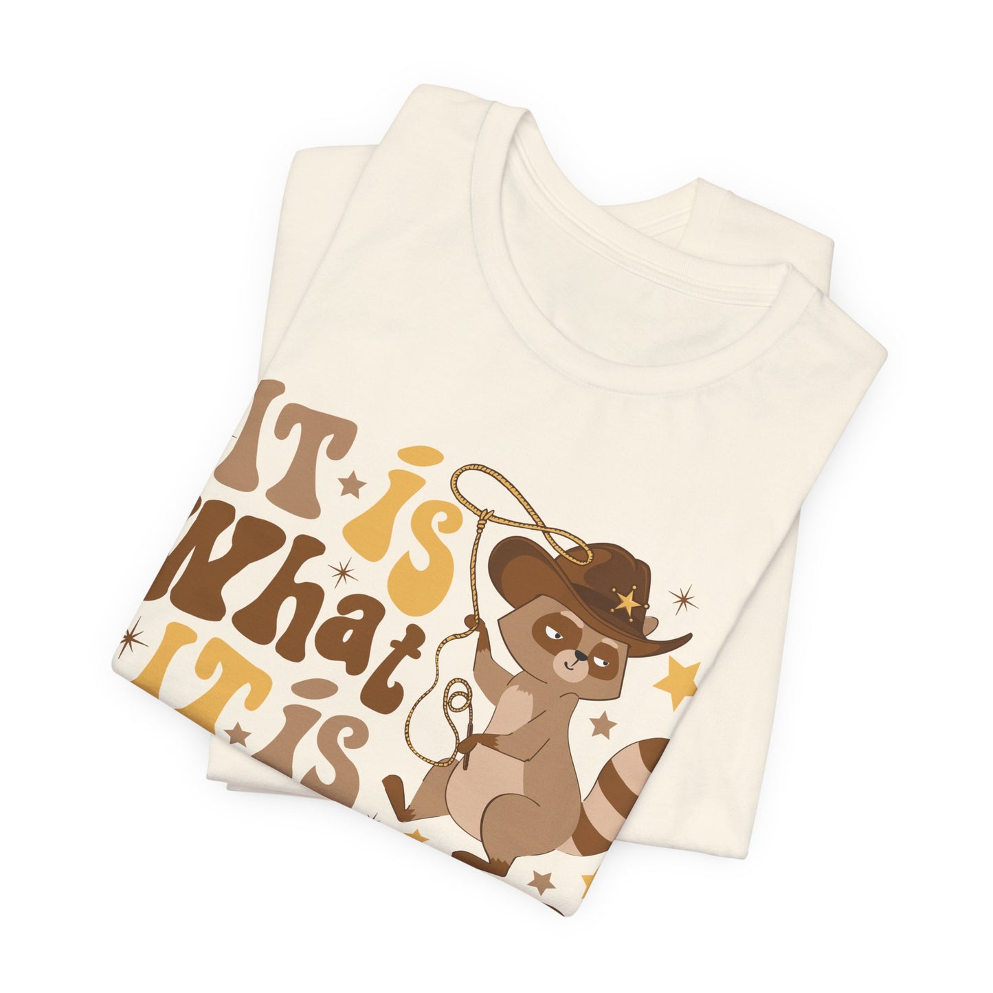 Funny Raccoon Tee — "It Is What It Is And It Is Not Great" Graphic T‑Shirt