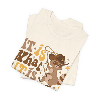 Funny Raccoon Tee — "It Is What It Is And It Is Not Great" Graphic T‑Shirt