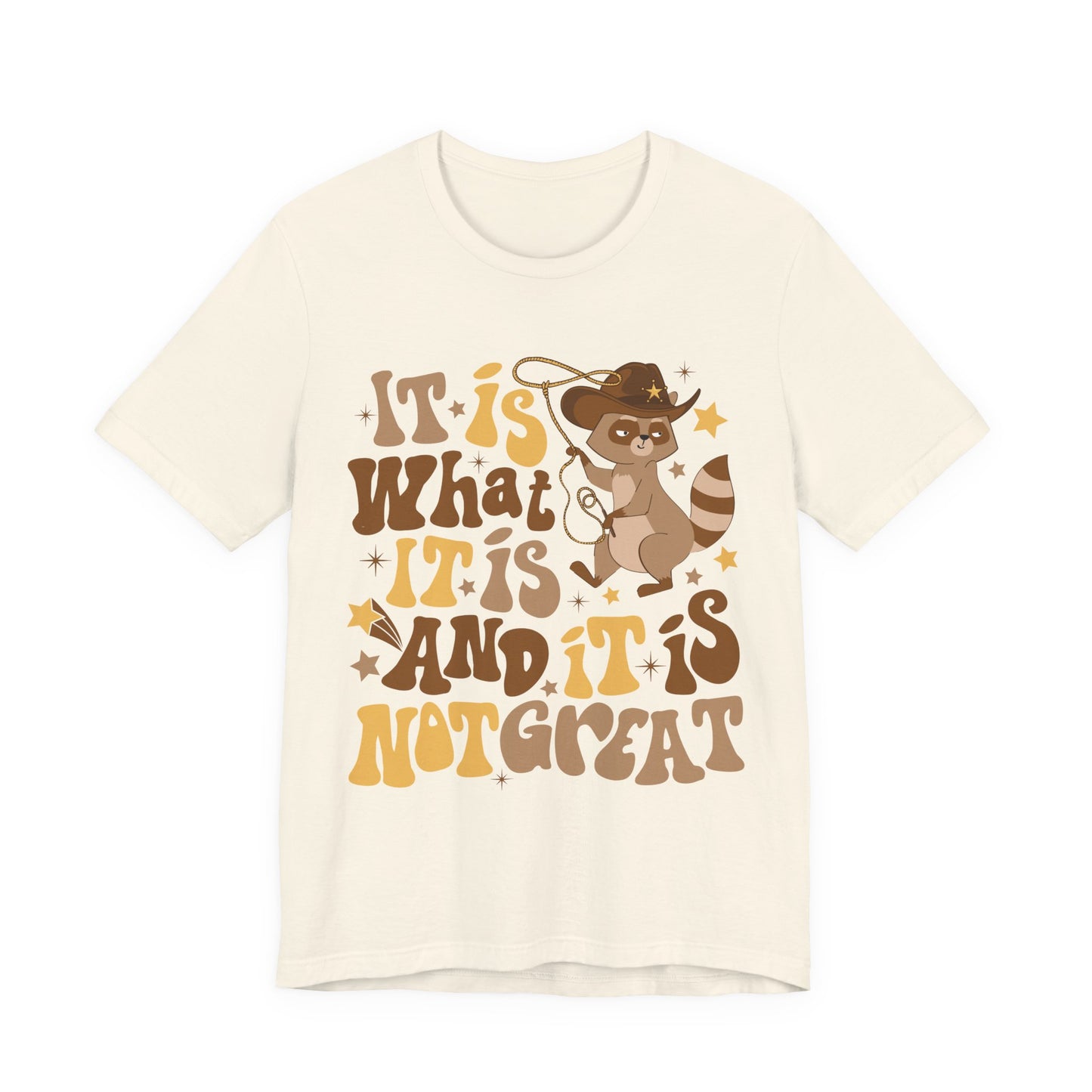 Funny Raccoon Tee — "It Is What It Is And It Is Not Great" Graphic T‑Shirt