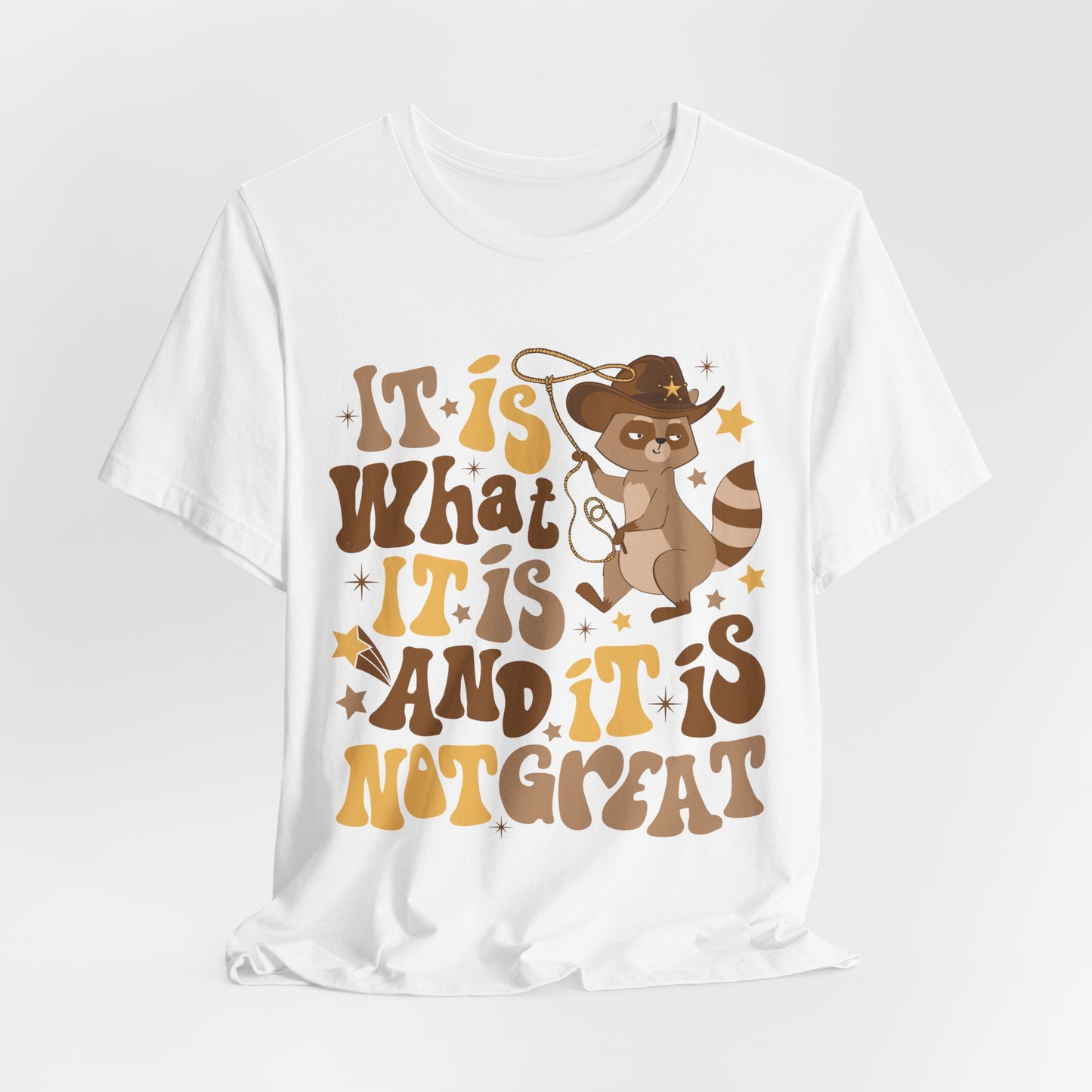 Funny Raccoon Tee — "It Is What It Is And It Is Not Great" Graphic T‑Shirt
