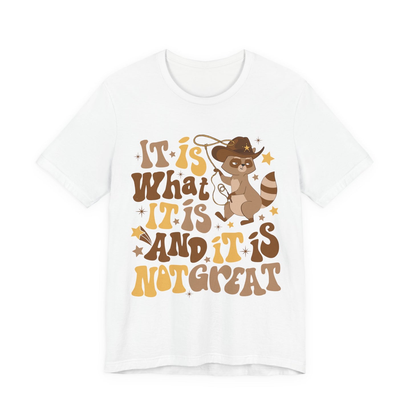 Funny Raccoon Tee — "It Is What It Is And It Is Not Great" Graphic T‑Shirt
