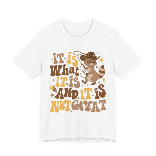 Funny Raccoon Tee — "It Is What It Is And It Is Not Great" Graphic T‑Shirt